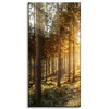 Obraz na płótnie Brzozy Drzewa Słońca Poranek 40x80 cm