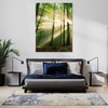 Obraz na płótnie Słońce w Lesie Drzewa Natura 50x70 cm