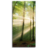 Obraz na płótnie Słońce w Lesie Drzewa Natura 40x80 cm