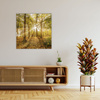 Obraz na płótnie Słońce między Drzewami w Lesie 60X60 cm