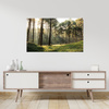 Obraz na płótnie Las Drzewa Słońce Natura 80x40 cm