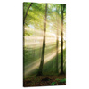 Obraz na płótnie Słońce w Lesie Drzewa Natura 40x80 cm