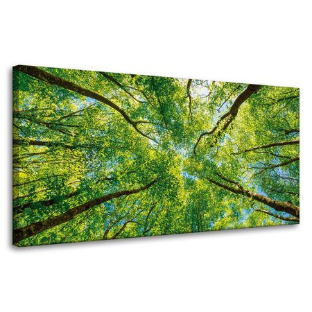 Obraz na płótnie Drzewa Liście Natura Las Wiosna 80x40 cm