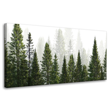 Obraz na płótnie Deszczowy Las Natura Drzewa 80x40 cm