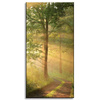Obraz na płótnie Światło Słońca Las Ścieżka Natura 40x80 cm