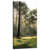 Obraz na płótnie Las Drzewa Słońce Natura 40x80 cm