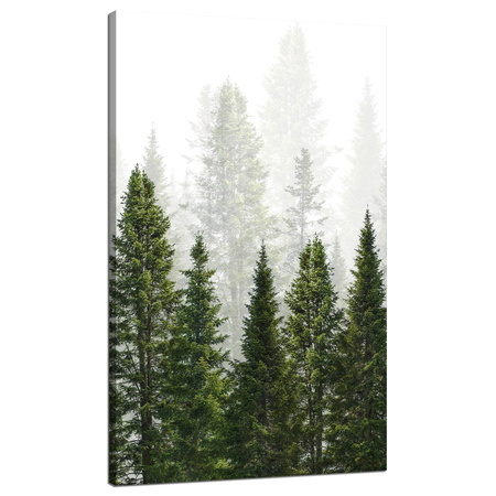 Obraz na płótnie Deszczowy Las Natura Drzewa 70x120 cm