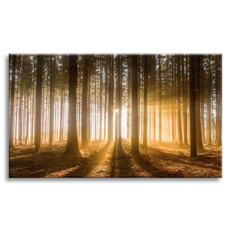 Obraz na płótnie Słońce w Lesie Światło Drzewa 70x50 cm