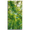 Obraz na płótnie Drzewa Liście Natura Las Wiosna 40x80 cm