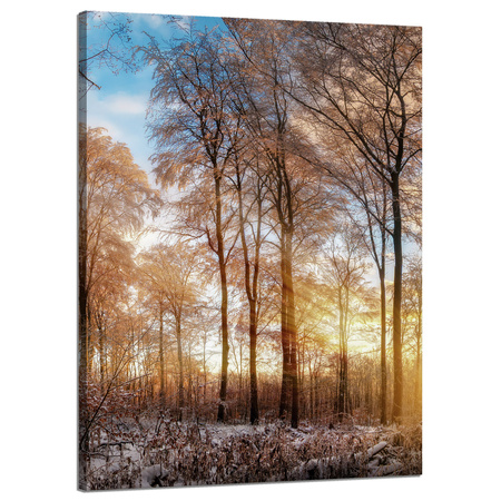 Obraz na płótnie Drzewa Zima Wschodzące Słońce 50x70 cm