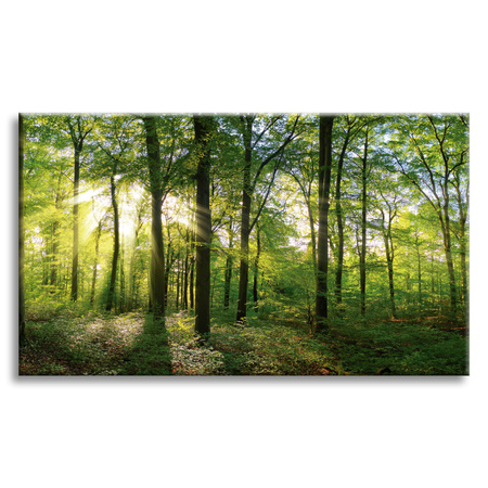 Obraz na płótnie Słońce Las Drzewa Promienie Światła 70x50 cm