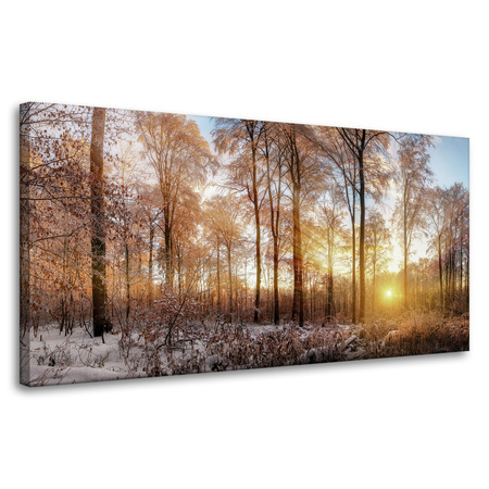 Obraz na płótnie Drzewa Zima Wschodzące Słońce 80x40 cm