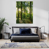 Obraz na płótnie Słońce Las Drzewa Promienie Światła 50x70 cm