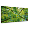 Obraz na płótnie Drzewa Liście Natura Las Wiosna 80x40 cm
