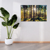Obraz na płótnie Las Słońce Drzewa Wiosna Poranek 80x40 cm