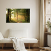 Obraz na płótnie Światło Słońca Las Ścieżka Natura 70x50 cm
