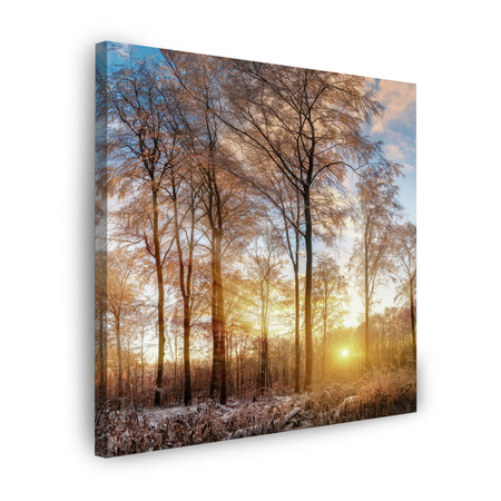 Obraz na płótnie Drzewa Zima Wschodzące Słońce  50X50 cm