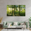 Obraz na płótnie Słońce Las Drzewa Promienie Światła 70x50 cm