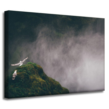 Obraz na płótnie Natura Z lotu ptaka_2 40x30 cm