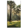 Obraz na płótnie Las Drzewa Słońce Natura 40x80 cm