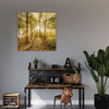 Obraz na płótnie Słońce między Drzewami w Lesie 40X40 cm