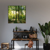 Obraz na płótnie Słońce Las Drzewa Promienie Światła 60X60 cm