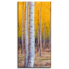 Obraz na płótnie Brzozy Jesienią Żółte Liście 40x80 cm