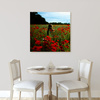 Obraz na płótnie Natura Kobieta w polu maków 40x40 cm