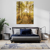 Obraz na płótnie Słońce między Drzewami w Lesie 70x120 cm