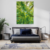 Obraz na płótnie Drzewa Liście Natura Las Wiosna 50x70 cm