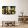 Obraz na płótnie Las Słońce Drzewa Wiosna Poranek 70x50 cm