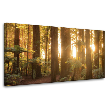Obraz na płótnie Promienie Słońca Las Drzewa  80x40 cm