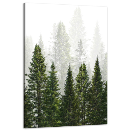 Obraz na płótnie Deszczowy Las Natura Drzewa 60x90 cm