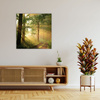 Obraz na płótnie Światło Słońca Las Ścieżka Natura 50X50 cm