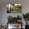 Obraz na płótnie Las Drzewa Słońce Natura 80x40 cm