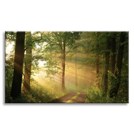 Obraz na płótnie Światło Słońca Las Ścieżka Natura 70x50 cm