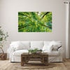 Obraz na płótnie Drzewa Liście Natura Las Wiosna 80x40 cm