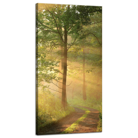 Obraz na płótnie Światło Słońca Las Ścieżka Natura 40x80 cm