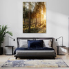 Obraz na płótnie Brzozy Drzewa Słońca Poranek 40x80 cm