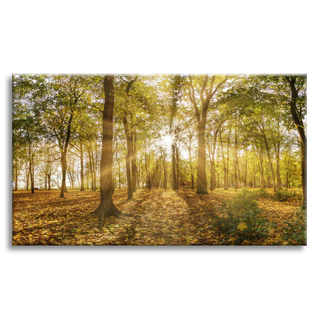 Obraz na płótnie Słońce między Drzewami w Lesie 70x50 cm