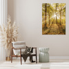 Obraz na płótnie Słońce między Drzewami w Lesie 70x120 cm