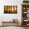 Obraz na płótnie Promienie Słońca Las Drzewa  70x50 cm