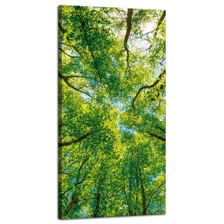 Obraz na płótnie Drzewa Liście Natura Las Wiosna 40x80 cm