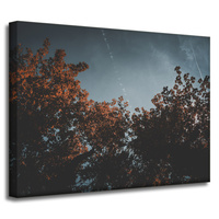 Obraz na płótnie Natura Pomarańczowe korony drzew 40x30 cm
