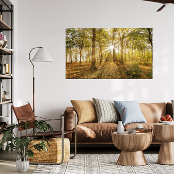 Obraz na płótnie Słońce między Drzewami w Lesie 120x70 cm