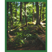 Ramka na zdjęcia 24x30 cm kolor zielony - foto rama