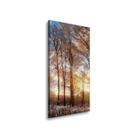 Obraz na płótnie Drzewa Zima Wschodzące Słońce 40x80 cm