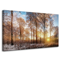 Obraz na płótnie Drzewa Zima Wschodzące Słońce 100x60 cm