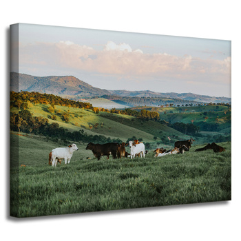 Obraz na płótnie Natura Pastwisko_2 40x30 cm