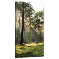 Obraz na płótnie Las Drzewa Słońce Natura 40x80 cm